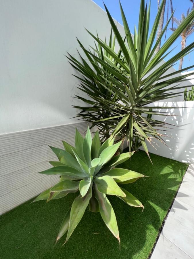 Corralejo Bristol Terrace Apartment Con Giardino Privato Esterno Kültér fotó